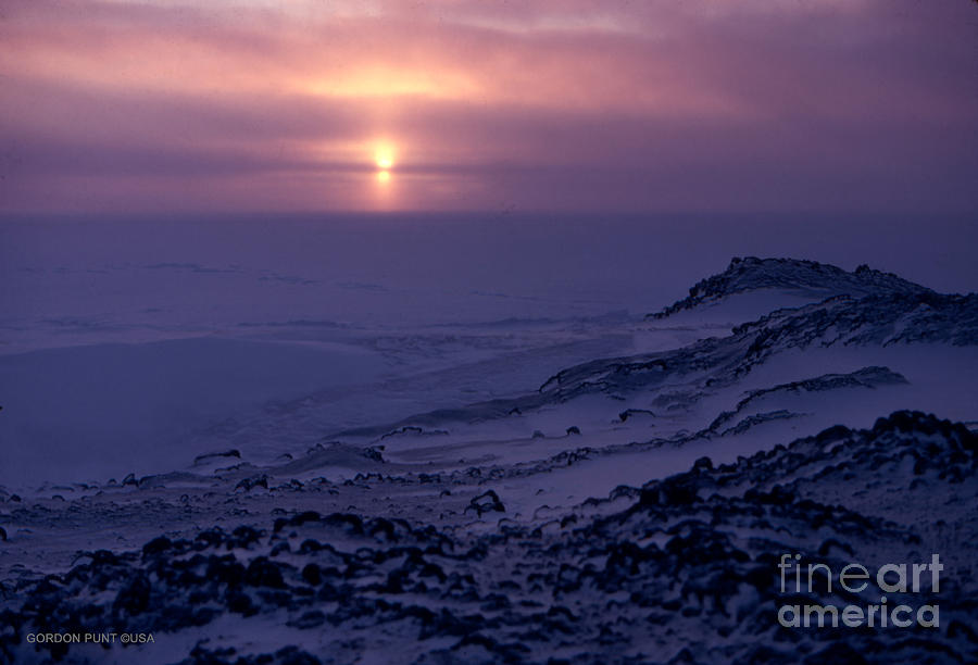 CapeEvans-Antarctica-G.Punt-8 Photograph by Gordon Punt