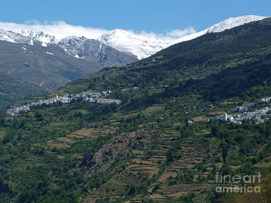 Capileira and Bubion - Alpujarras - Spain Photograph by Phil Banks