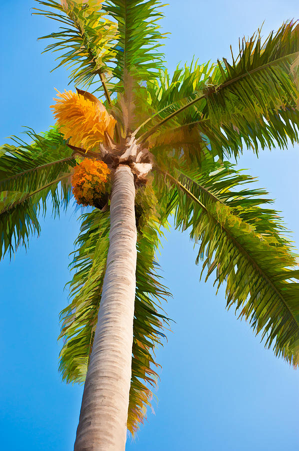 Capistrano Palm Tree - Digital Photo Art Photograph by Duane Miller