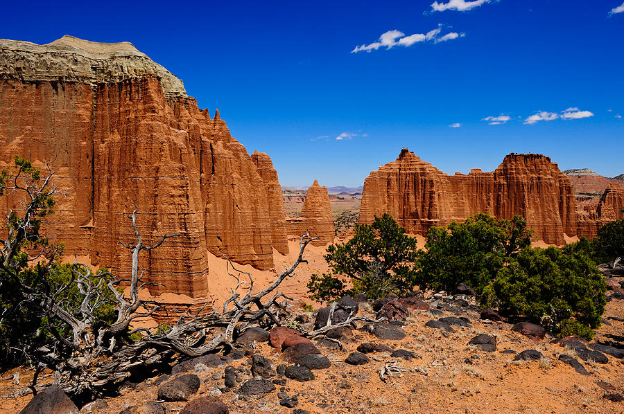 Desert Photograph - Capital Reef by Don and Bonnie Fink