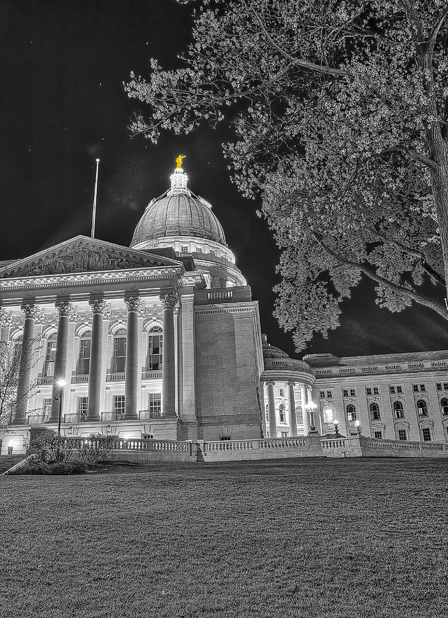 Capitol - Madison - Wisconsin #3 Photograph by Steven Ralser