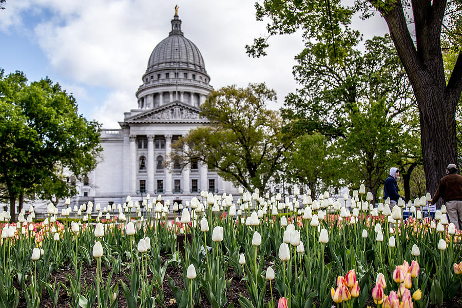 Capitol and Tulips Photograph by Phil Roeder