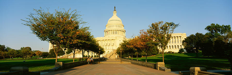 Tree Photograph - Capitol Building, Washington Dc by Panoramic Images