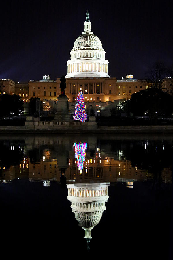 Capitol Christmas Photograph by Mitch Cat
