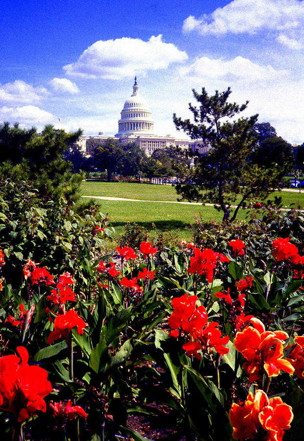 Capitol Colors Photograph by Gordon James