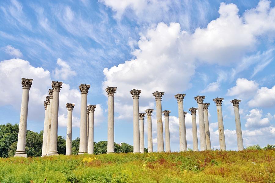 Capitol Columns at the National Arboretum Photograph by Jean Goodwin Brooks