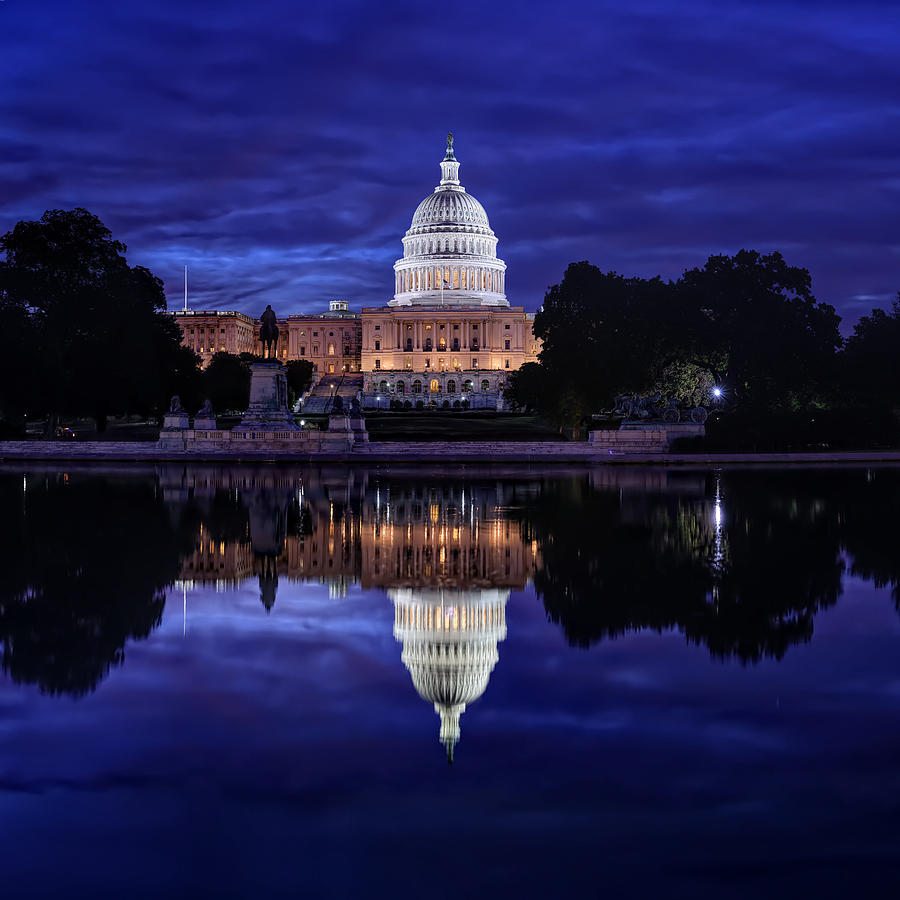 Tree Photograph - Capitol Morning by Metro DC Photography