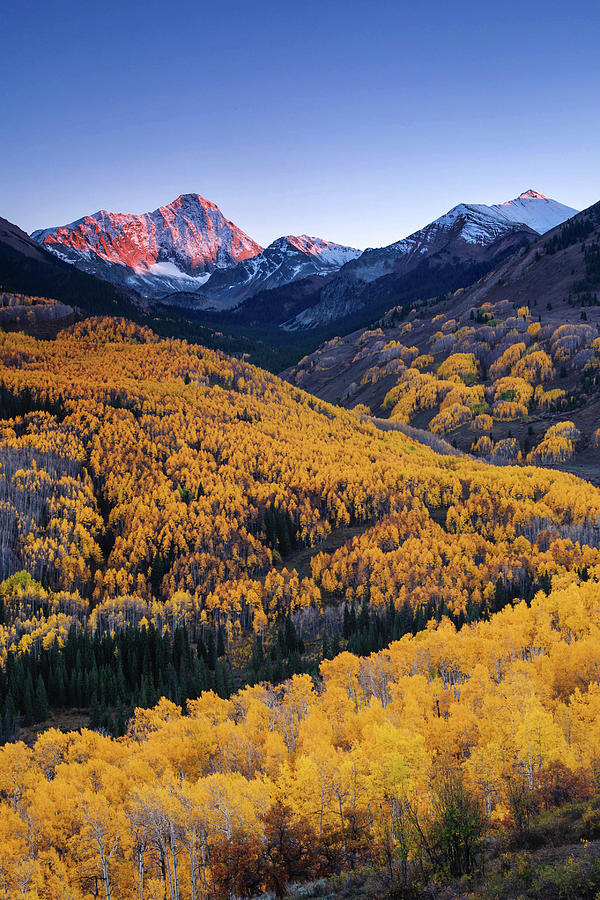 Capitol Peak With Fall Colors Photograph by Piriya Photography