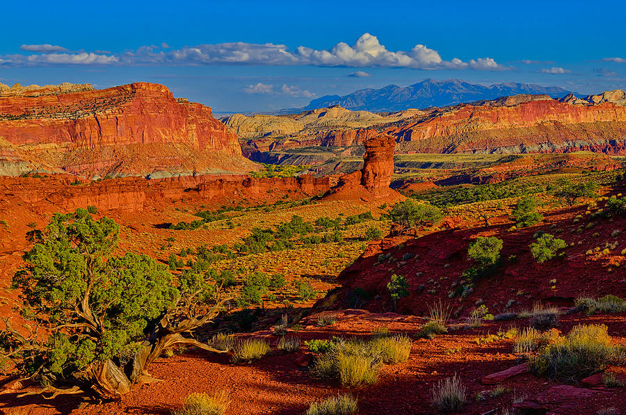 Capitol Reef Landscape Photograph by Greg Norrell