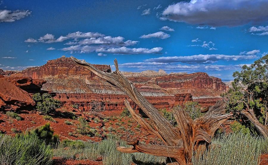 Capitol Reef National Park Photograph by Allen Beatty