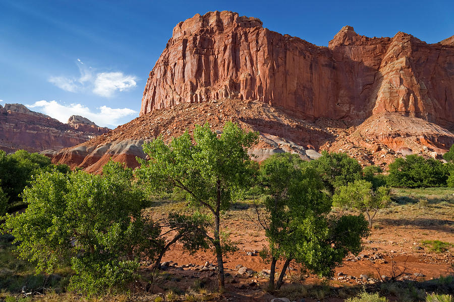 Capitol Reef National Park Photograph by E.r. Degginger Capitol Reef National Park Photograph by E.r. Degginger