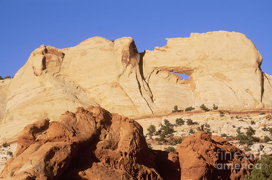 Capitol Reef National Park, Utah Photograph by Mark Newman
