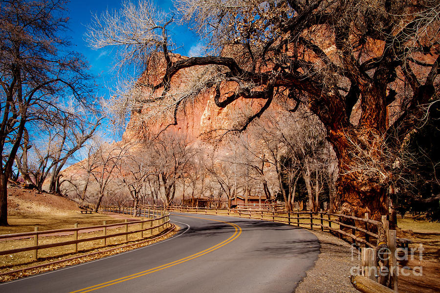 Capitol Reef Scenic Drive Photograph by Bob and Nancy Kendrick