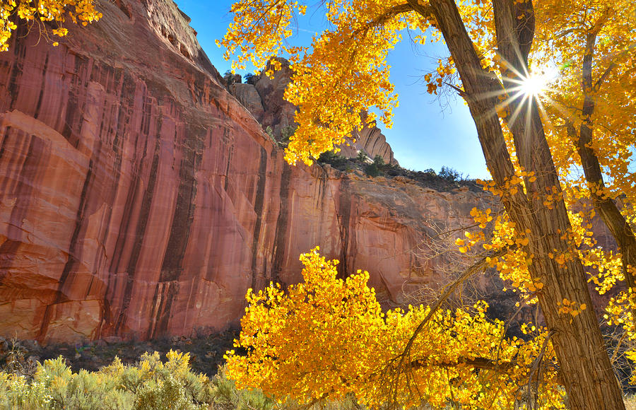 Capitol Reef Starburst Photograph by Ray Mathis