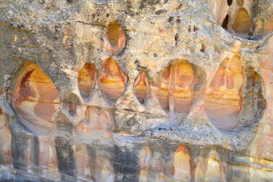 Capitol Reef Wall Art Photograph by Ray Mathis