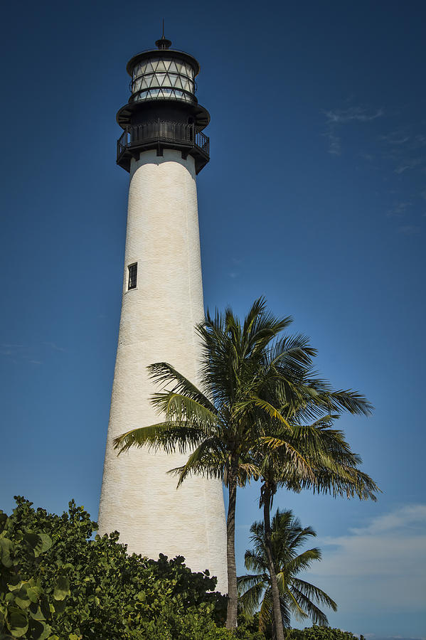 Cape Florida Lighthouse Photograph by Penny Lisowski