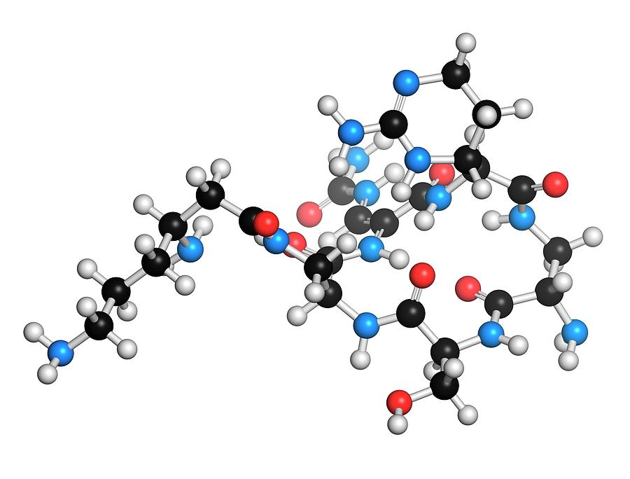 Capreomycin Antibiotic Drug Molecule Photograph by Molekuul