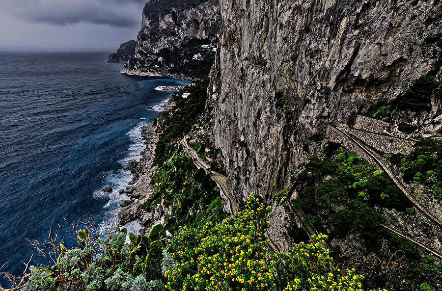 CAPRI Krupp path rocks coast Photograph by Enrico Pelos
