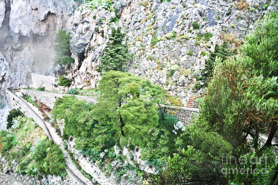 Capri Path Photograph