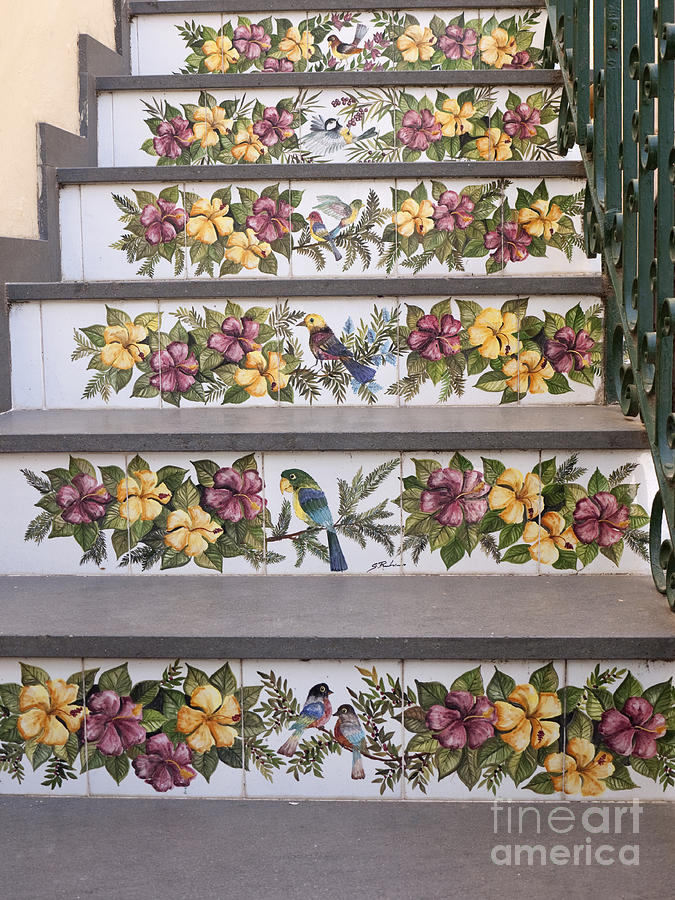 Lemon Photograph - Capri Tiled Staircase with Birds by Brenda Kean