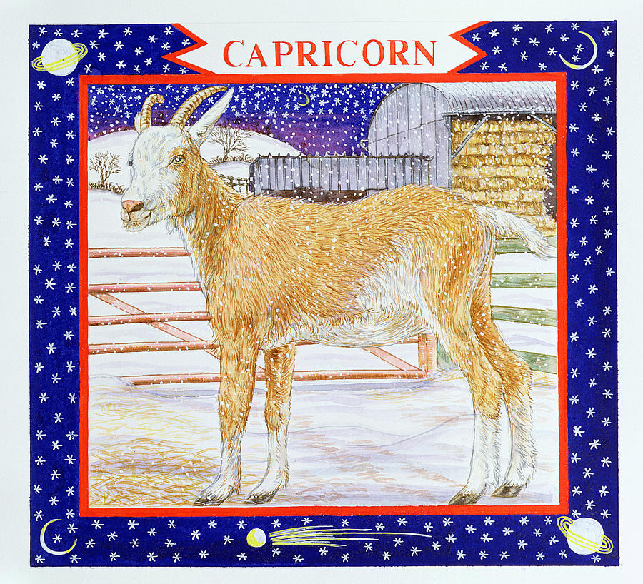 Capricorn Wc On Paper Photograph by Catherine Bradbury