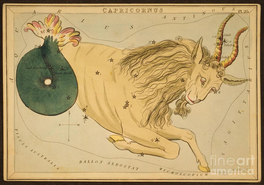 Capricorn Photograph - Capricornus Constellation Zodiac Sign by Science Source