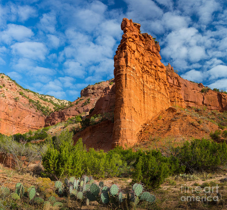 Caprock Canyon Rim Photograph by Inge Johnsson