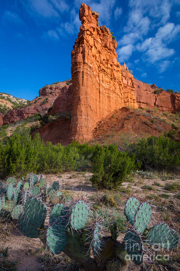 Caprock Canyon Wall Photograph by Inge Johnsson