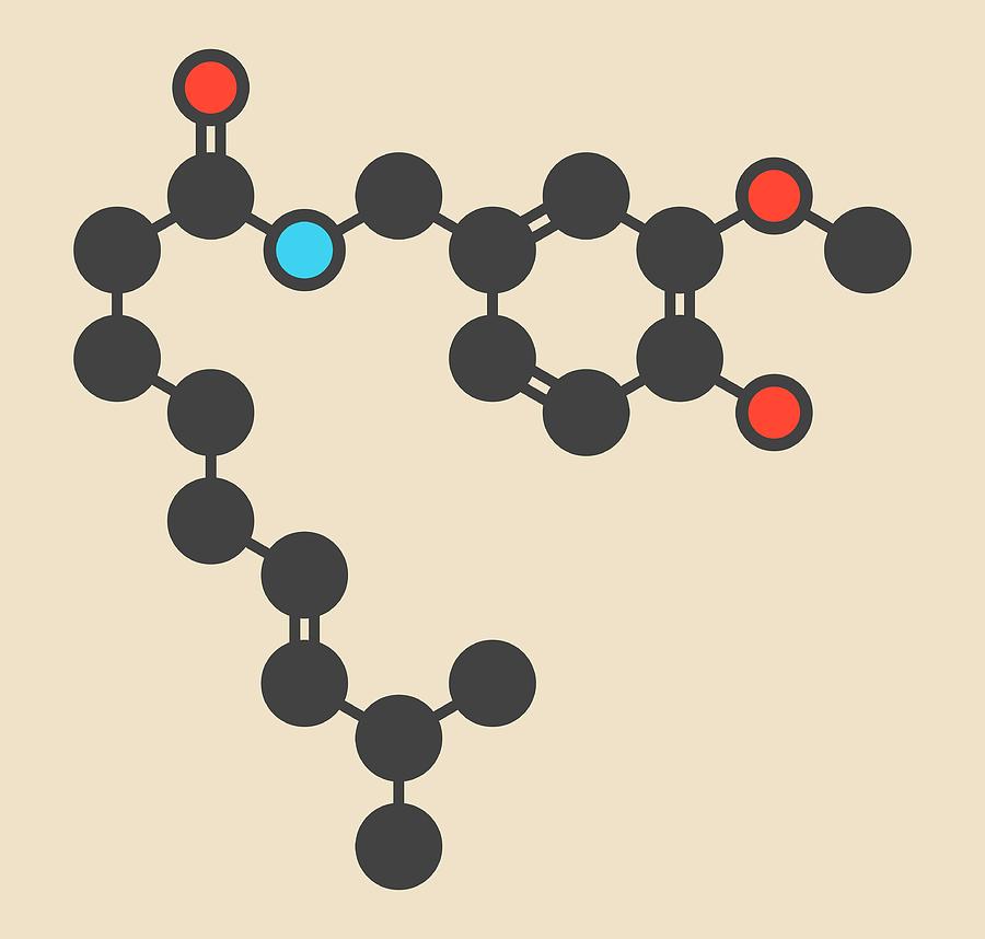 Ring Photograph - Capsaicin Chili Pepper Molecule by Molekuul