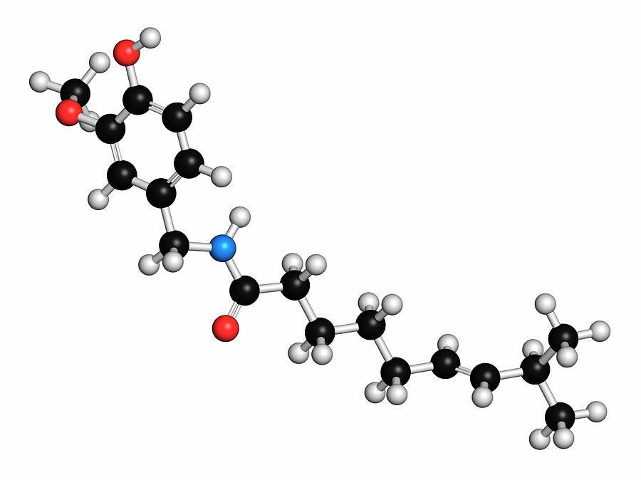 Capsaicin Chili Pepper Molecule Photograph by Molekuul/science Photo Library