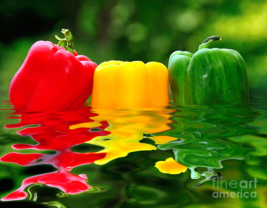 Primary Colors Photograph - Capsicum Afloat by Kaye Menner