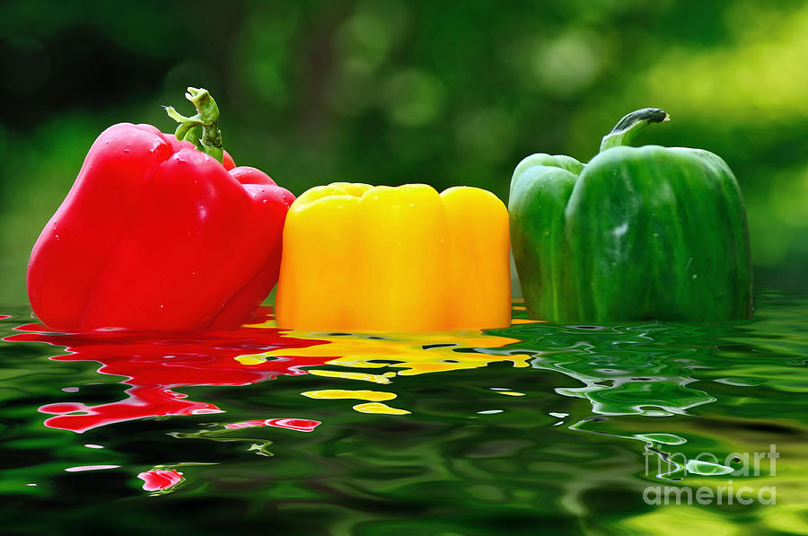 Primary Colors Photograph - Capsicum in Water by Kaye Menner
