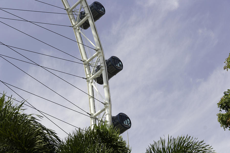 Capsules and structure of the Singapore Flyer along with the spokes Photograph by Ashish Agarwal
