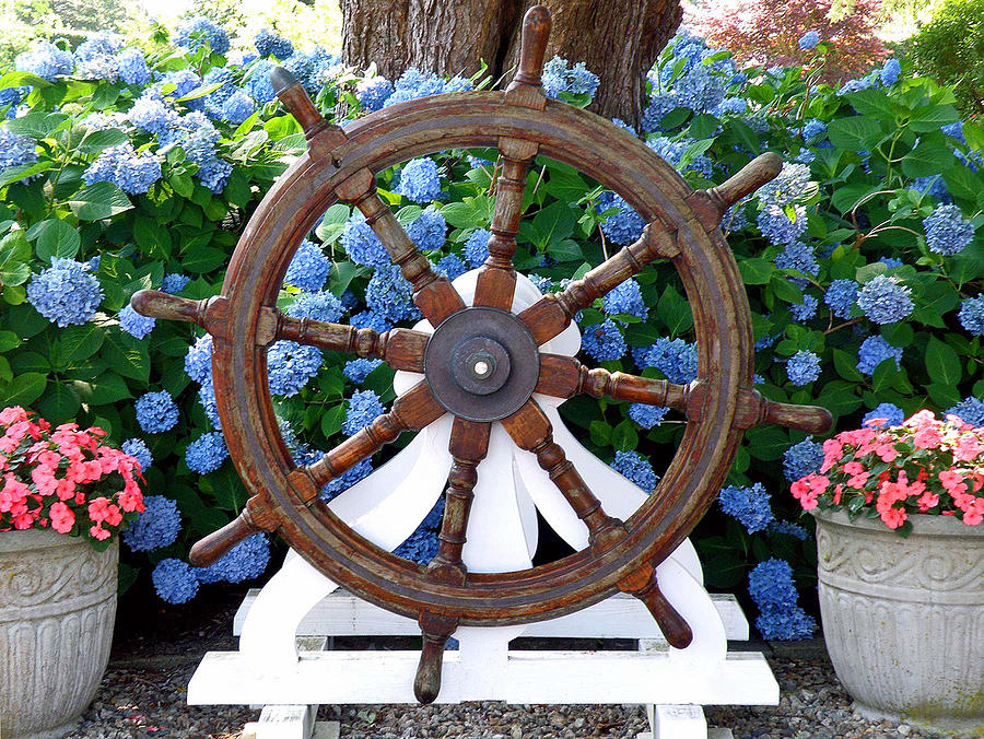 Flower Photograph - Yankee Captains Wheel by Jean Hall