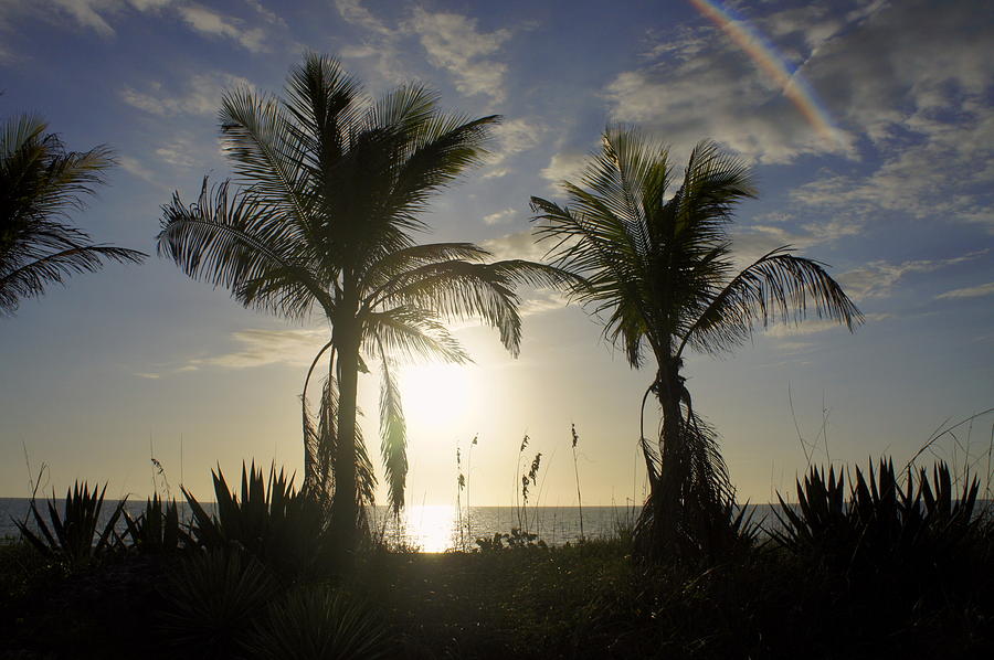 Captiva Island Photograph by Laurie Perry