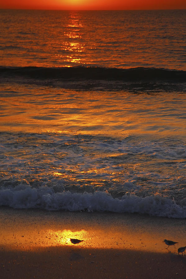 Captiva Sunset II Photograph by Steven Ainsworth