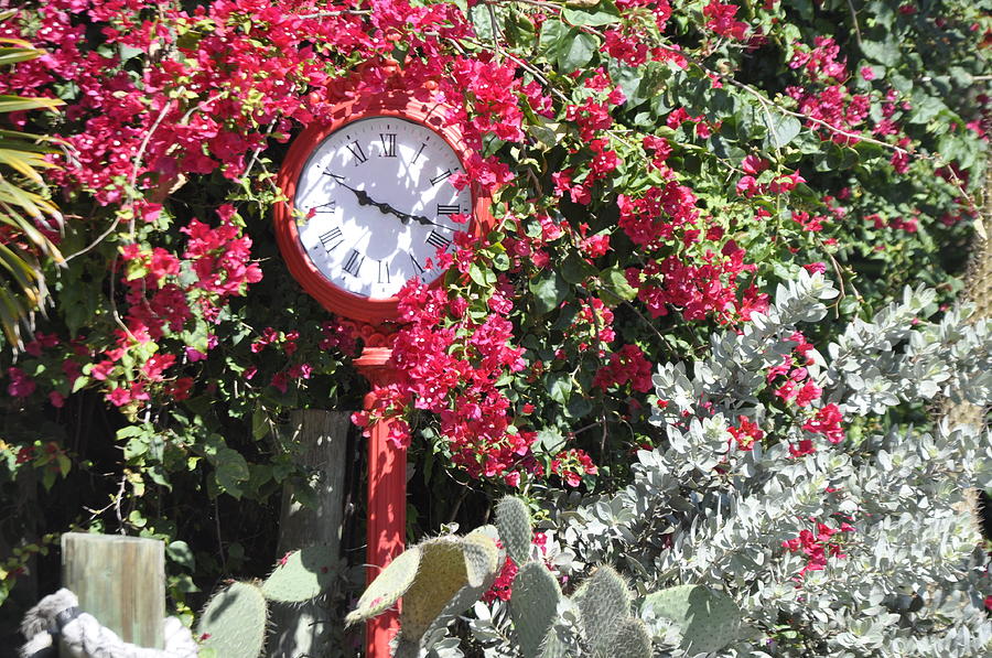 Clock Photograph - Captiva Time by Sandy Poore