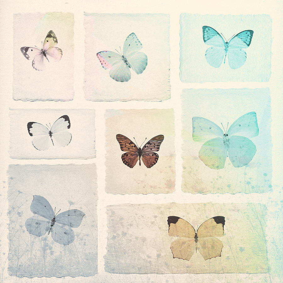 Butterfly Digital Art - Captured Beauty by David Ridley