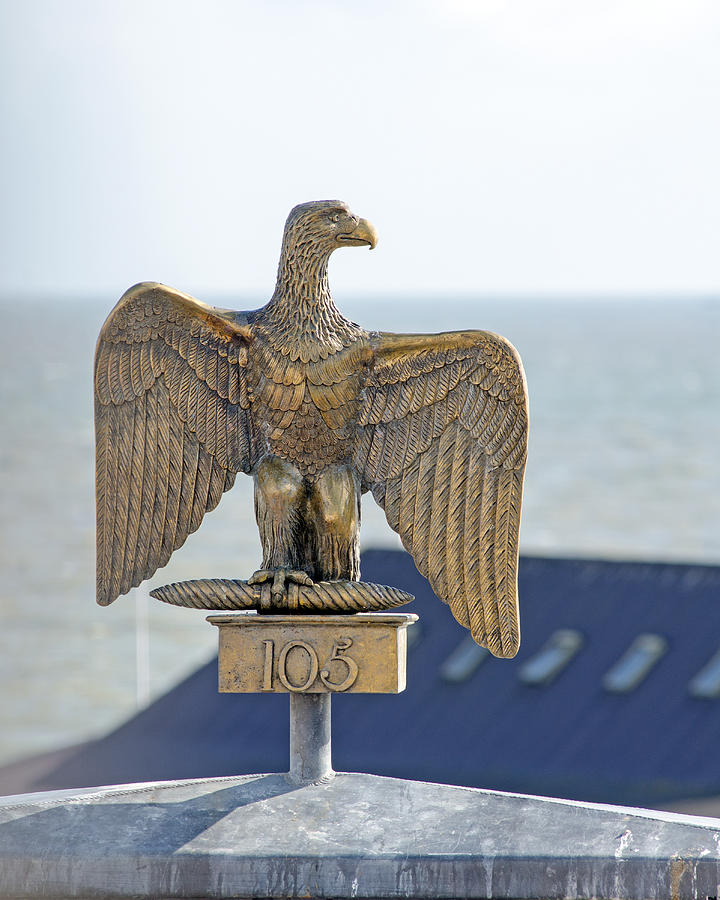 Captured French Eagle Photograph by Paul Martin - Pixels