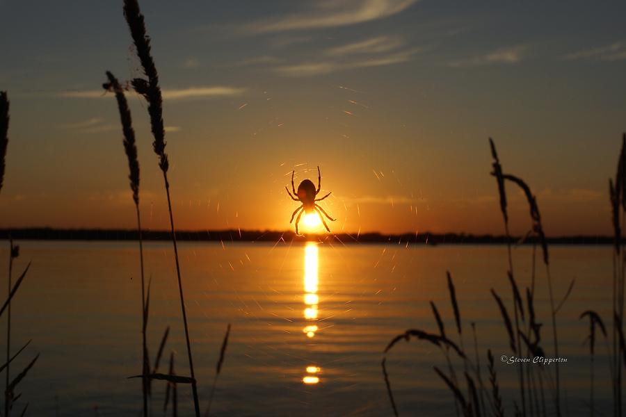 Captured Sunset Photograph by Steven Clipperton