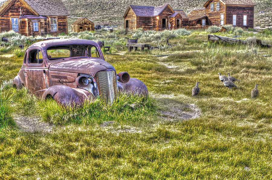 Car at Bodie with Ducks Photograph by SC Heffner