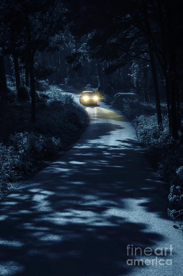 Car in the Woods Photograph by Carlos Caetano