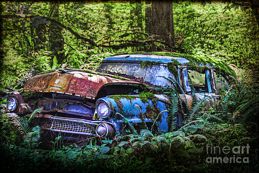 Car in the Woods IV Photograph by Norma Warden