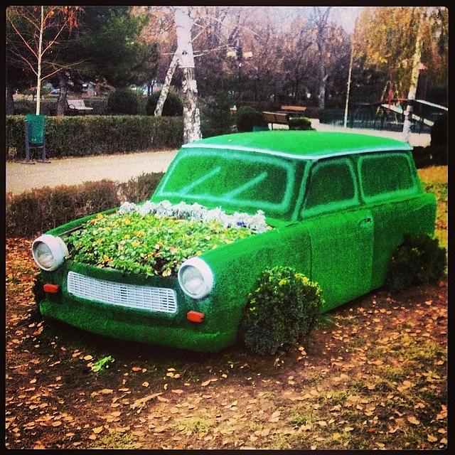 Flower Photograph - #car Made Of #grass #weed #flowers by Laura  Teodora