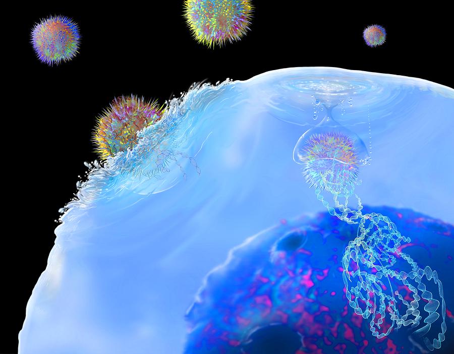 CAR T cell immunotherapy, illustration Photograph by Keith Chambers/science Photo Library