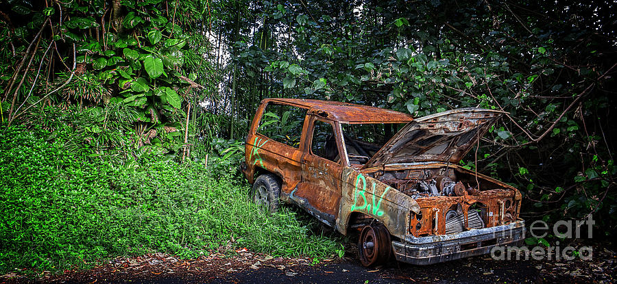 Car Trouble on the Road to Hana Photograph by Edward Fielding