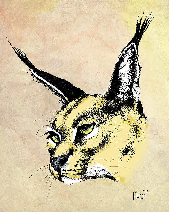 caracal Color Drawing by Anthony Mwangi