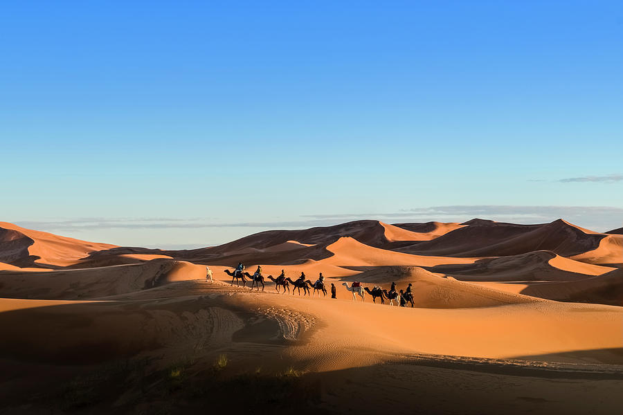 Caravan Of Camels Photograph by Paolo Negri