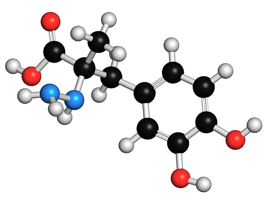 Carbidopa Photograph - Carbidopa Parkinsons Disease Drug by Molekuul