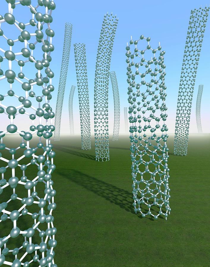 Allotrope Photograph - Carbon Nanotubes Growing In Grassy Plain by Robert Brook/science Photo Library